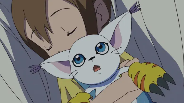 Hikari y Tailmon