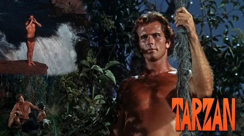 Tarzan - Fondo
