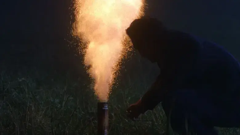 Hana-Bi: Flores de fuego - Fondo