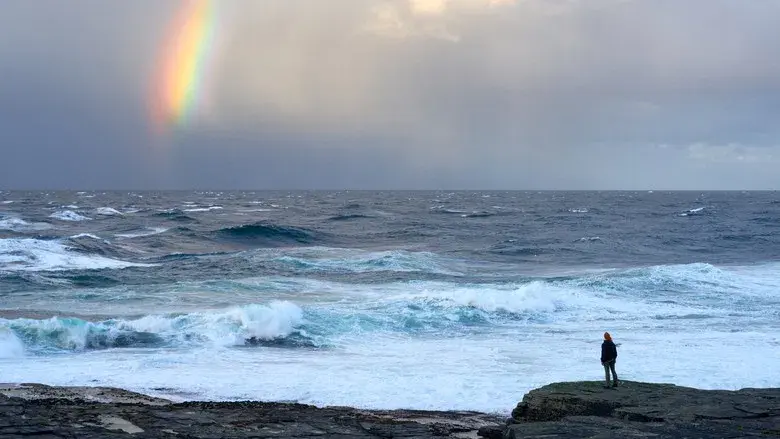 En islas extremas - Fondo
