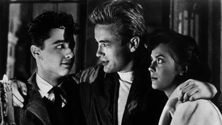 Rebelde sin causa - Fondo