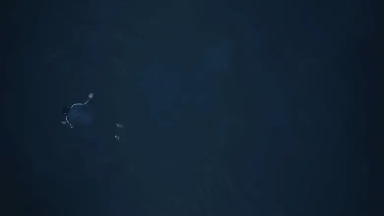 Incontrolable (I Swear) - Fondo