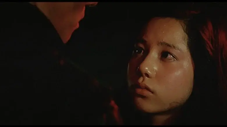 十代　－恵子の場合－ - Fondo