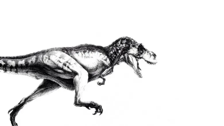 Jurassic Park (Parque Jurásico) - Fondo