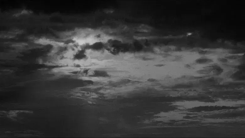 La ley de la calle - Fondo