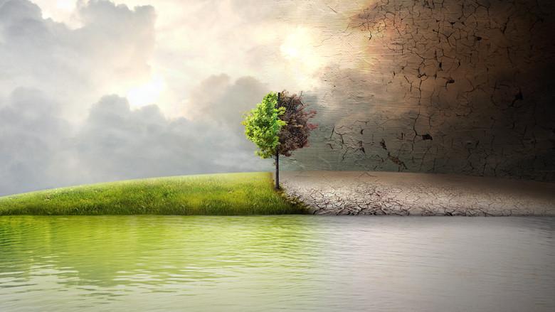 Planeta Tierra: ¿Somos historia? - Fondo