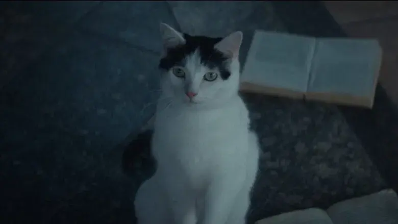 Un lugar tranquilo: Día uno - Fondo