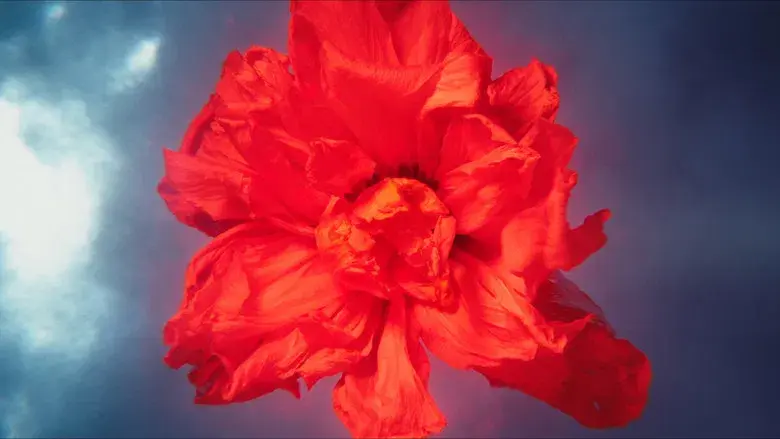 Megalópolis - Fondo