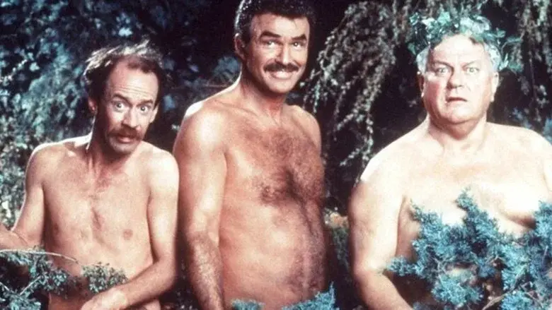 Evening Shade - Fondo