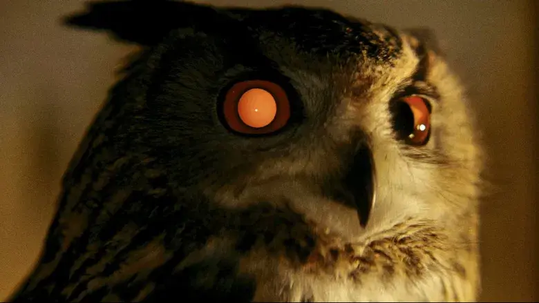 Blade Runner - Fondo