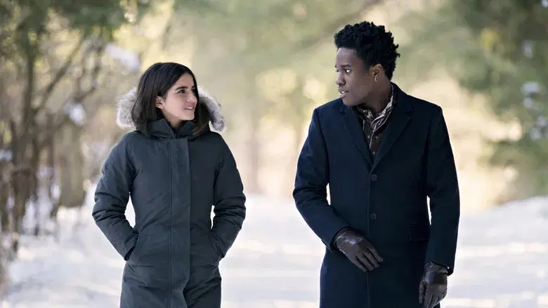 Let It Snow - Backdrop