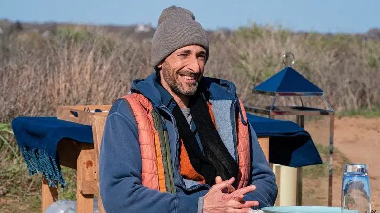 El león en la pradera