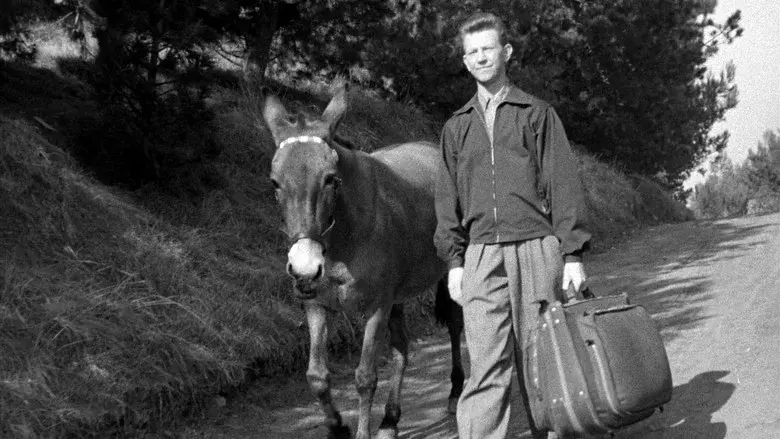 Francis en las carreras - Fondo