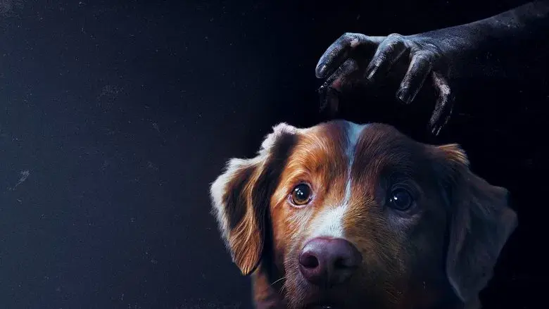 Good Boy - Fondo