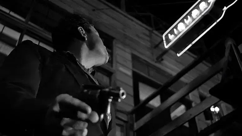 La dama de Shanghai - Fondo