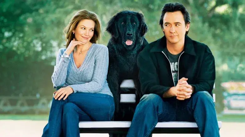 ...Y que le gusten los perros - Fondo