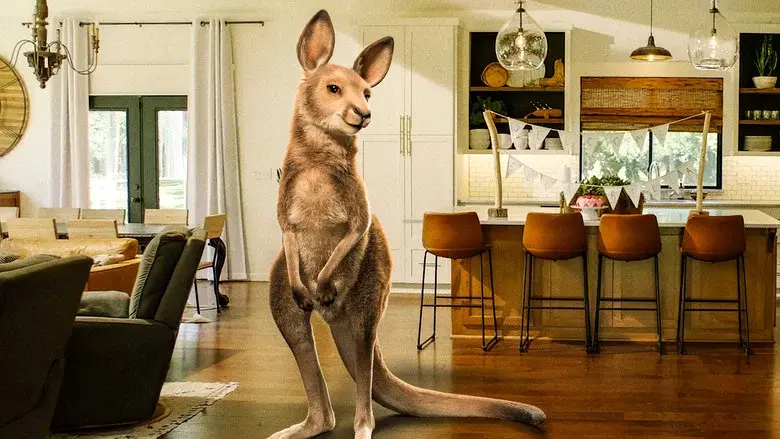 Joey and Ella - Fondo