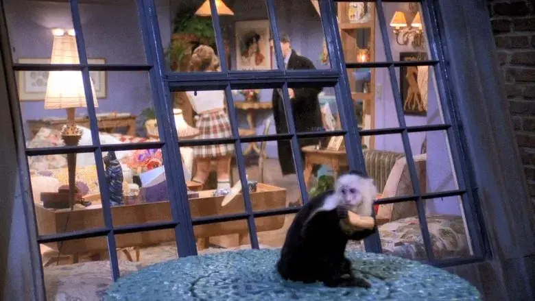 El de cuando se escapa el mono