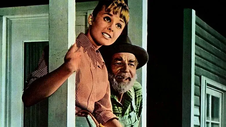 Tammy and the Millionaire - Fondo