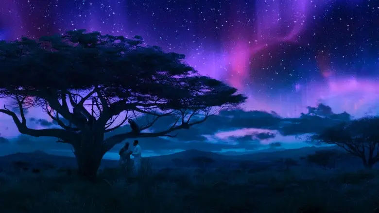 Black Panther - Fondo