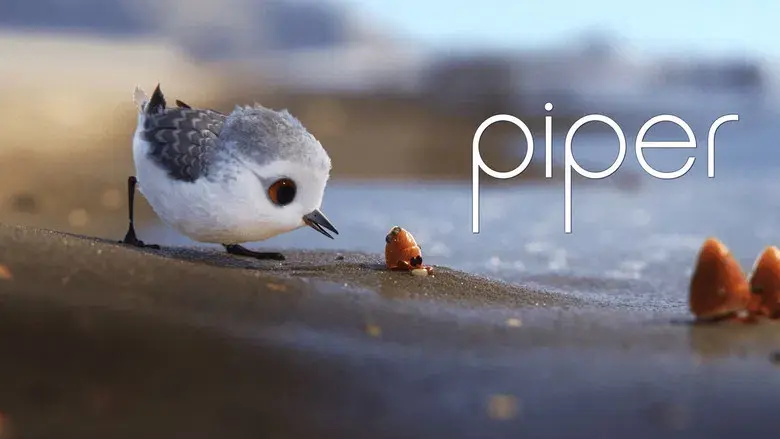 Piper - Fondo