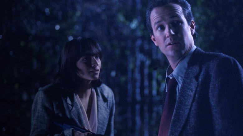 Cuando despierta la noche - Fondo