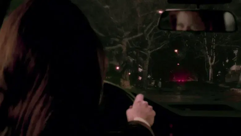 Mothman, la última profecía - Fondo