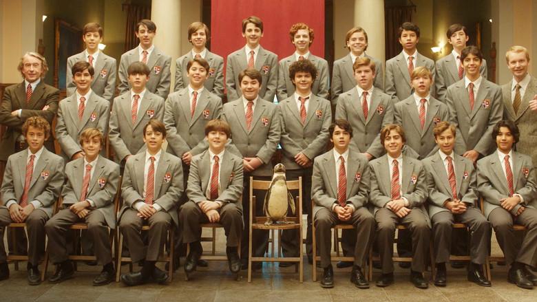 Lo que aprendí de mi pingüino - Fondo