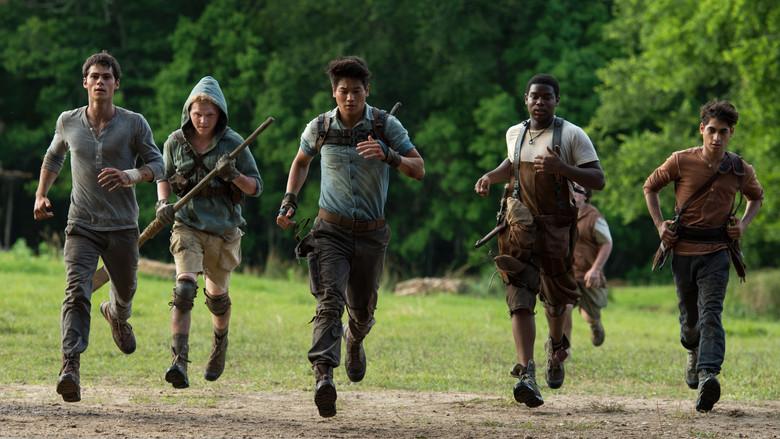 El corredor del laberinto - Fondo