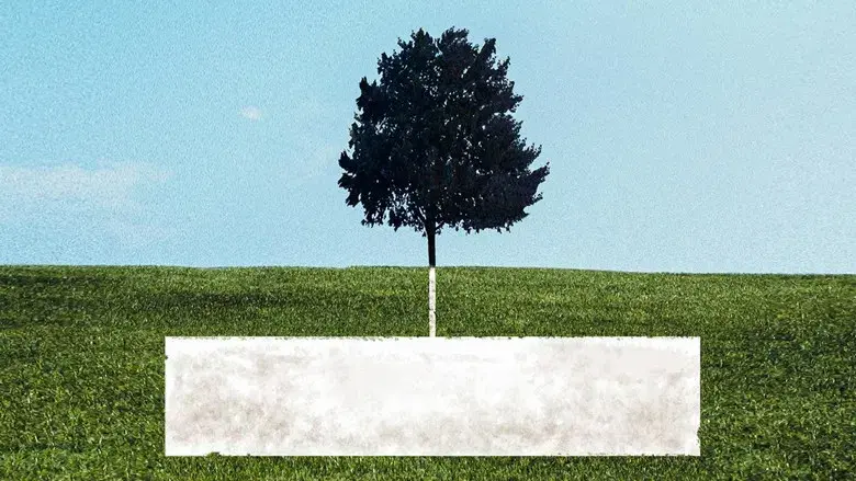 A dos metros bajo tierra - Fondo