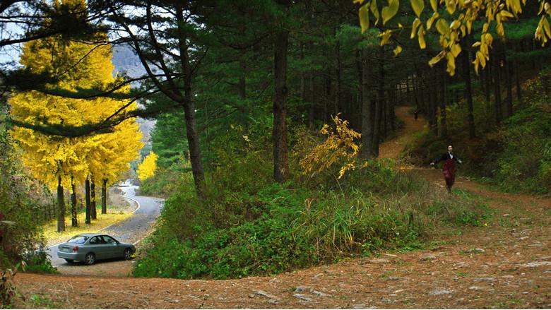 No hay otra opción - Fondo