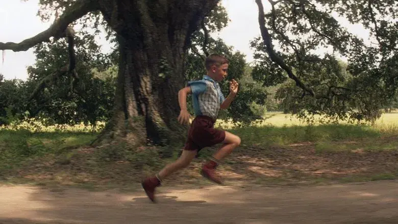 Forrest Gump - Fondo