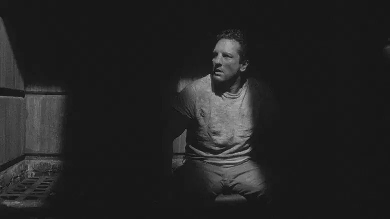 Toro salvaje - Fondo