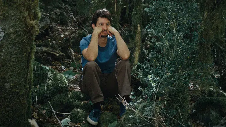 El libro de las soluciones - Fondo