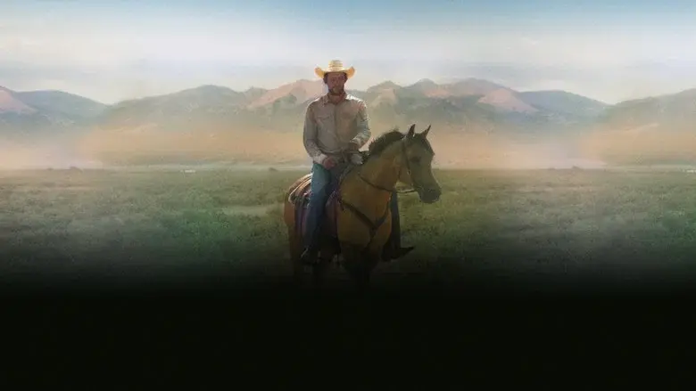 Rebuilding - Fondo