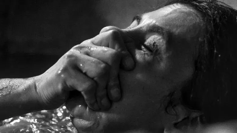 La chica de la aguja - Fondo