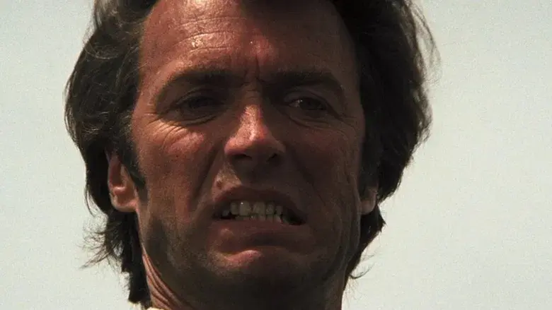 Harry el sucio - Fondo