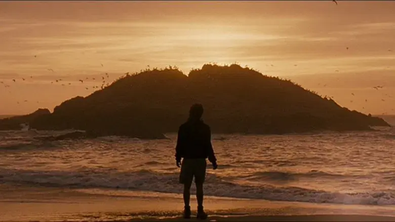 Hacia rutas salvajes - Fondo