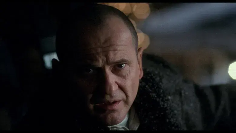 Solo en casa - Fondo