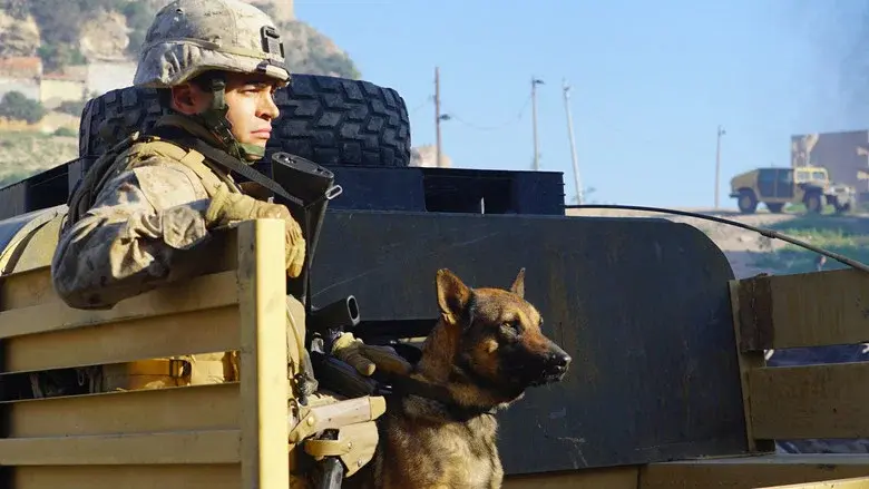 Megan Leavey - Fondo