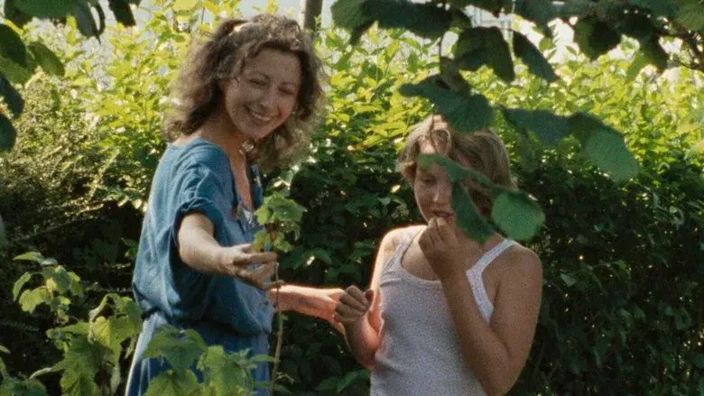 El rayo verde - Fondo