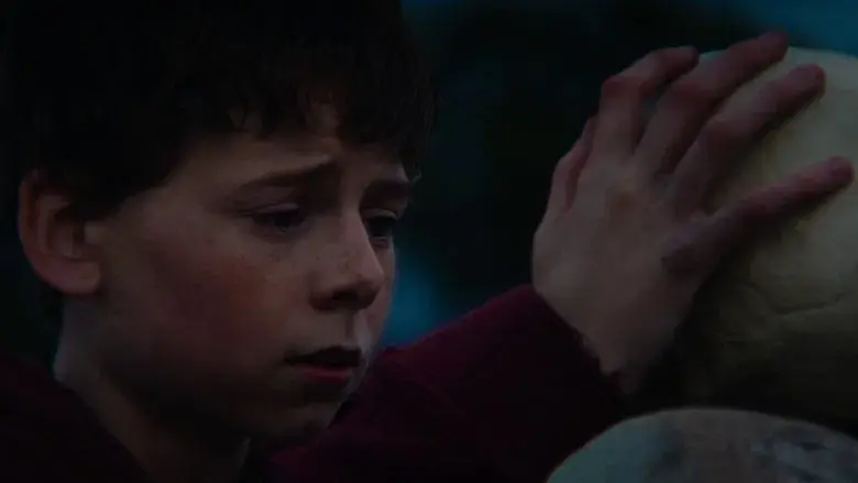 28 años después - Fondo