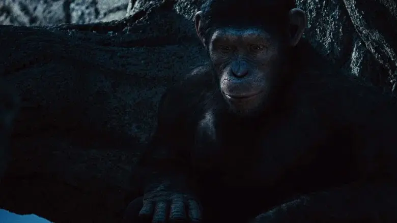 El origen del planeta de los simios - Fondo