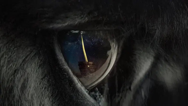 Perfectly a strangeness - Fondo