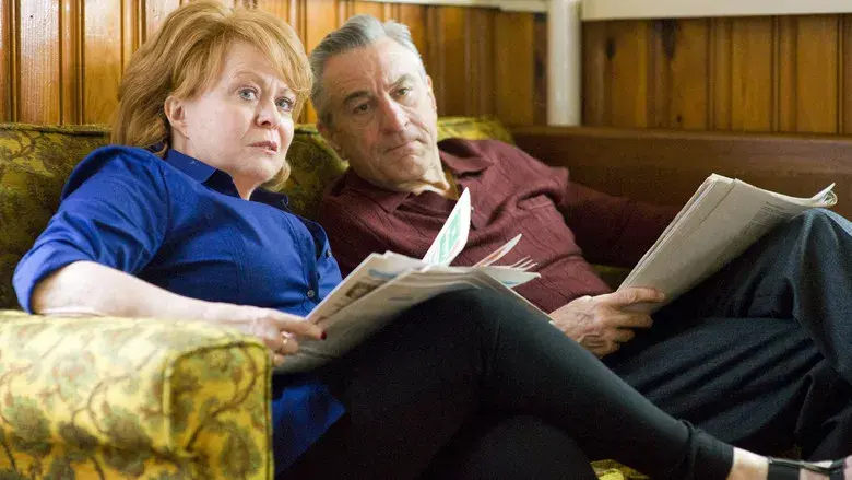 El lado bueno de las cosas - Fondo