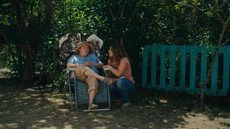 El libro de las soluciones - Fondo