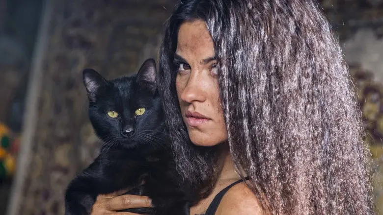 La Gata - Fondo