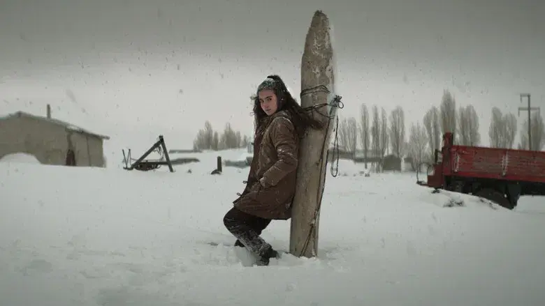 Sobre la hierba seca - Fondo