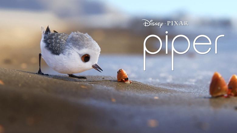 Piper - Fondo