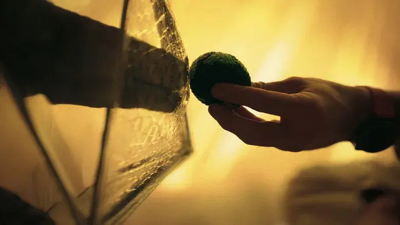 Proyecto salvación - Fondo